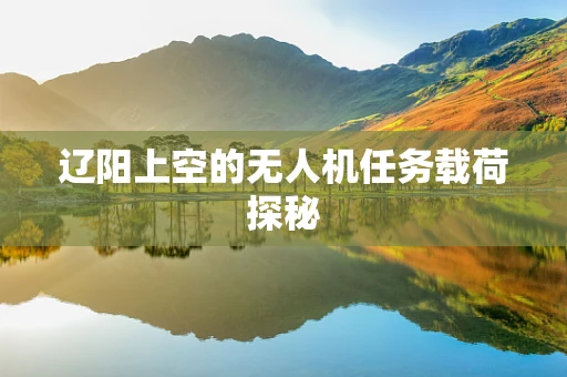 辽阳上空的无人机任务载荷探秘