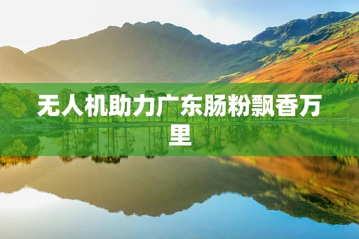 无人机助力广东肠粉飘香万里