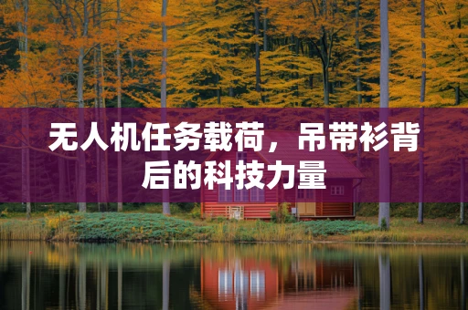 无人机任务载荷，吊带衫背后的科技力量