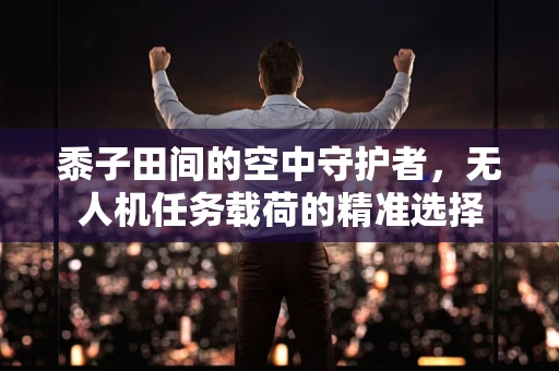 黍子田间的空中守护者，无人机任务载荷的精准选择