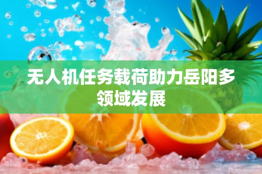 无人机任务载荷助力岳阳多领域发展