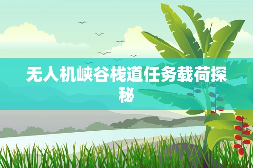 无人机峡谷栈道任务载荷探秘