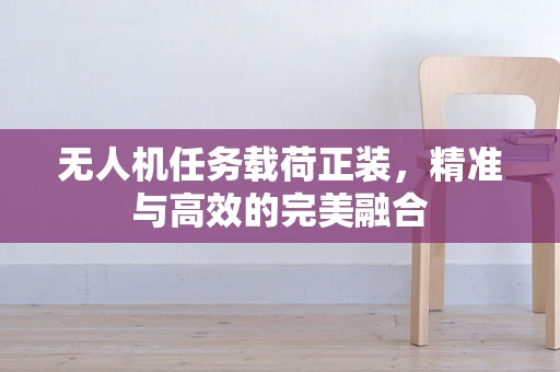 无人机任务载荷正装，精准与高效的完美融合