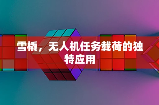 雪橇，无人机任务载荷的独特应用