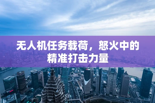 无人机任务载荷，怒火中的精准打击力量