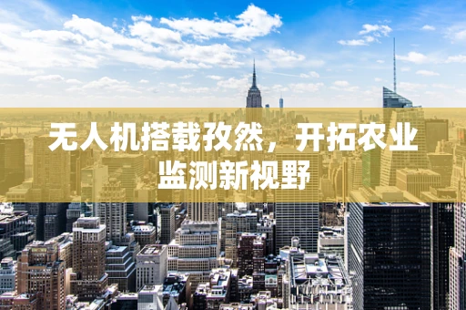 无人机搭载孜然，开拓农业监测新视野