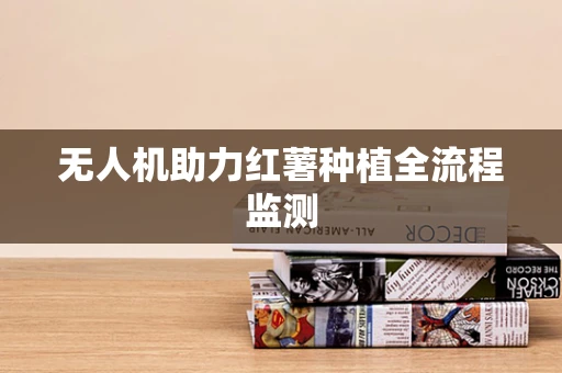 无人机助力红薯种植全流程监测