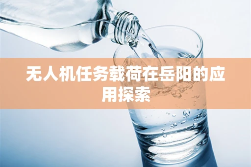 无人机任务载荷在岳阳的应用探索