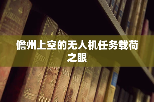 儋州上空的无人机任务载荷之眼