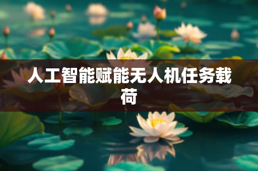人工智能赋能无人机任务载荷