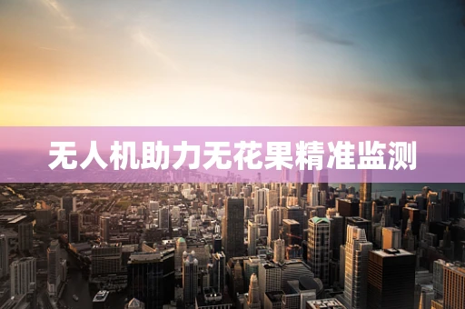 无人机助力无花果精准监测