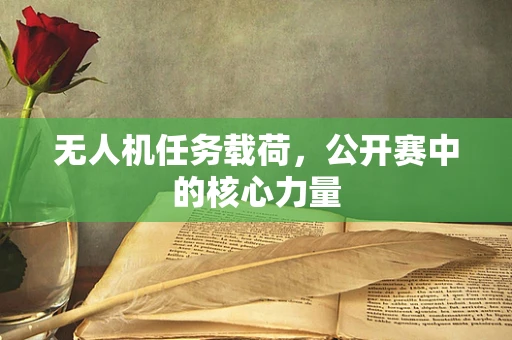 无人机任务载荷，公开赛中的核心力量