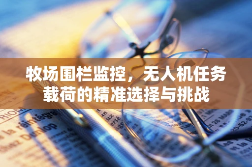 牧场围栏监控，无人机任务载荷的精准选择与挑战