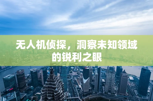 无人机侦探，洞察未知领域的锐利之眼