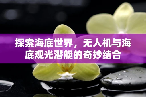 探索海底世界，无人机与海底观光潜艇的奇妙结合