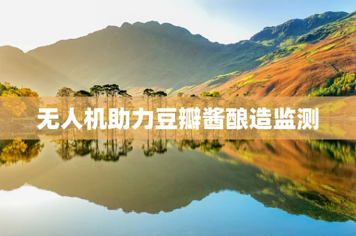 无人机助力豆瓣酱酿造监测