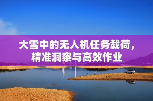 大雪中的无人机任务载荷，精准洞察与高效作业