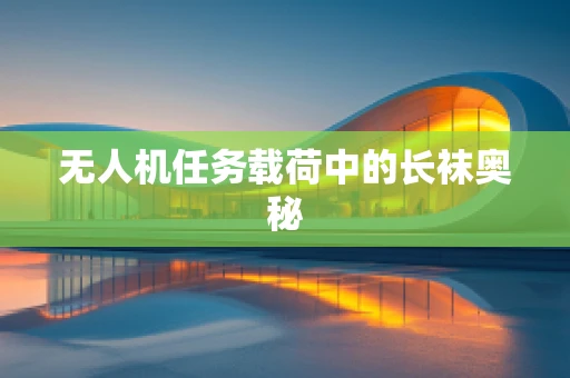 无人机任务载荷中的长袜奥秘