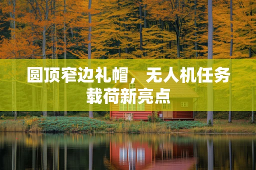 圆顶窄边礼帽，无人机任务载荷新亮点