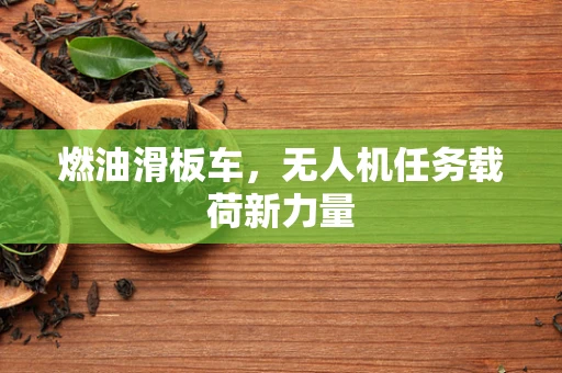 燃油滑板车，无人机任务载荷新力量