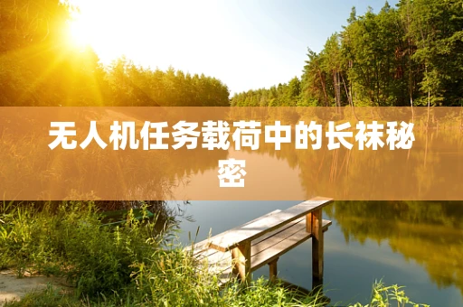 无人机任务载荷中的长袜秘密