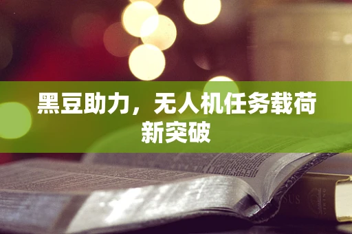 黑豆助力，无人机任务载荷新突破