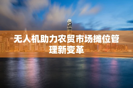 无人机助力农贸市场摊位管理新变革