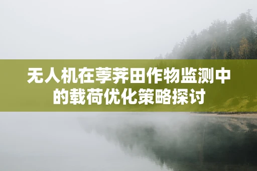 无人机在荸荠田作物监测中的载荷优化策略探讨