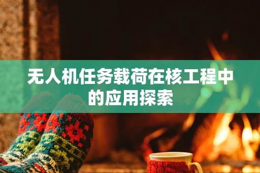 无人机任务载荷在核工程中的应用探索