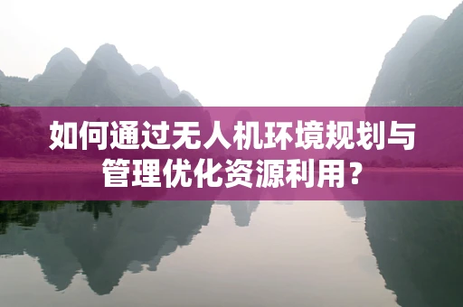 如何通过无人机环境规划与管理优化资源利用？