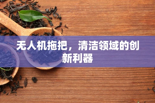 无人机拖把，清洁领域的创新利器