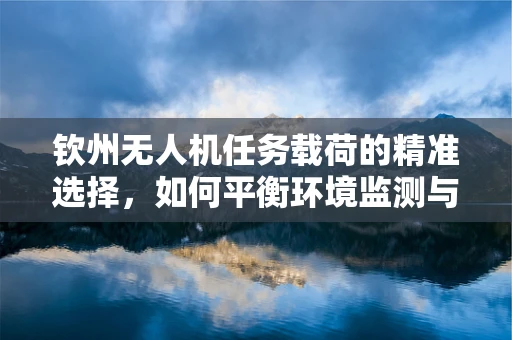 钦州无人机任务载荷的精准选择，如何平衡环境监测与成本效益？