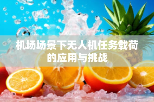 机场场景下无人机任务载荷的应用与挑战