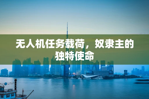 无人机任务载荷，奴隶主的独特使命