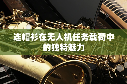 连帽衫在无人机任务载荷中的独特魅力