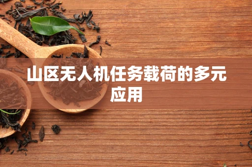 山区无人机任务载荷的多元应用