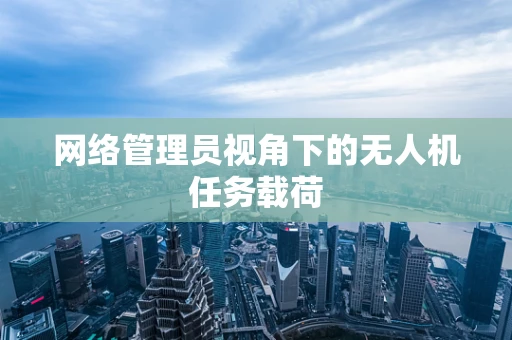 网络管理员视角下的无人机任务载荷