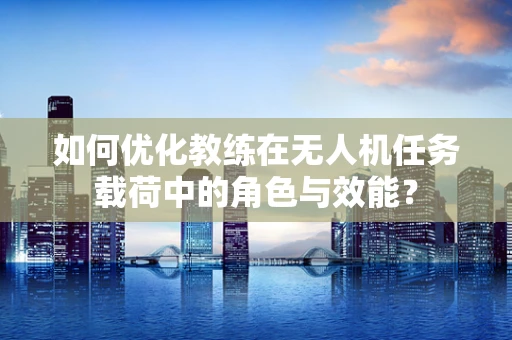 如何优化教练在无人机任务载荷中的角色与效能？