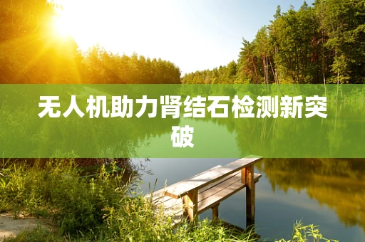 无人机助力肾结石检测新突破