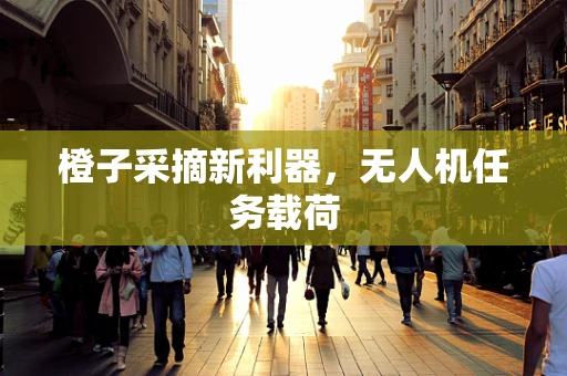 橙子采摘新利器，无人机任务载荷