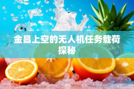 金昌上空的无人机任务载荷探秘