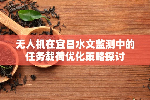 无人机在宜昌水文监测中的任务载荷优化策略探讨