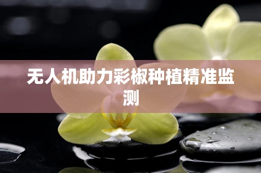 无人机助力彩椒种植精准监测