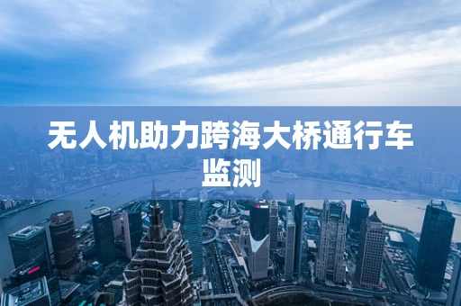 无人机助力跨海大桥通行车监测