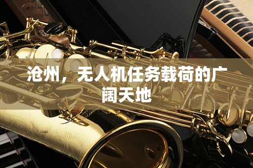沧州，无人机任务载荷的广阔天地