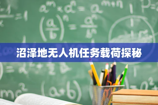 沼泽地无人机任务载荷探秘