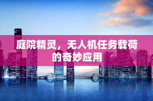 庭院精灵，无人机任务载荷的奇妙应用