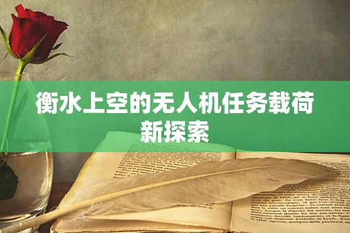衡水上空的无人机任务载荷新探索