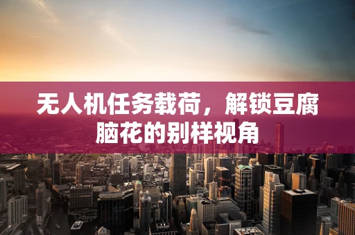 无人机任务载荷，解锁豆腐脑花的别样视角