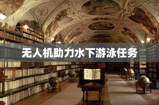无人机助力水下游泳任务